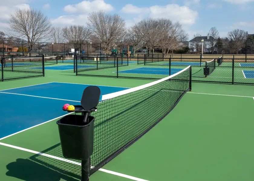 Multiple outdoor pickleball courts with nets and a black bin holding balls, surrounded by bare trees.